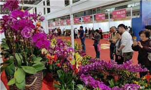 靠花卉引客，也靠“花外留客”