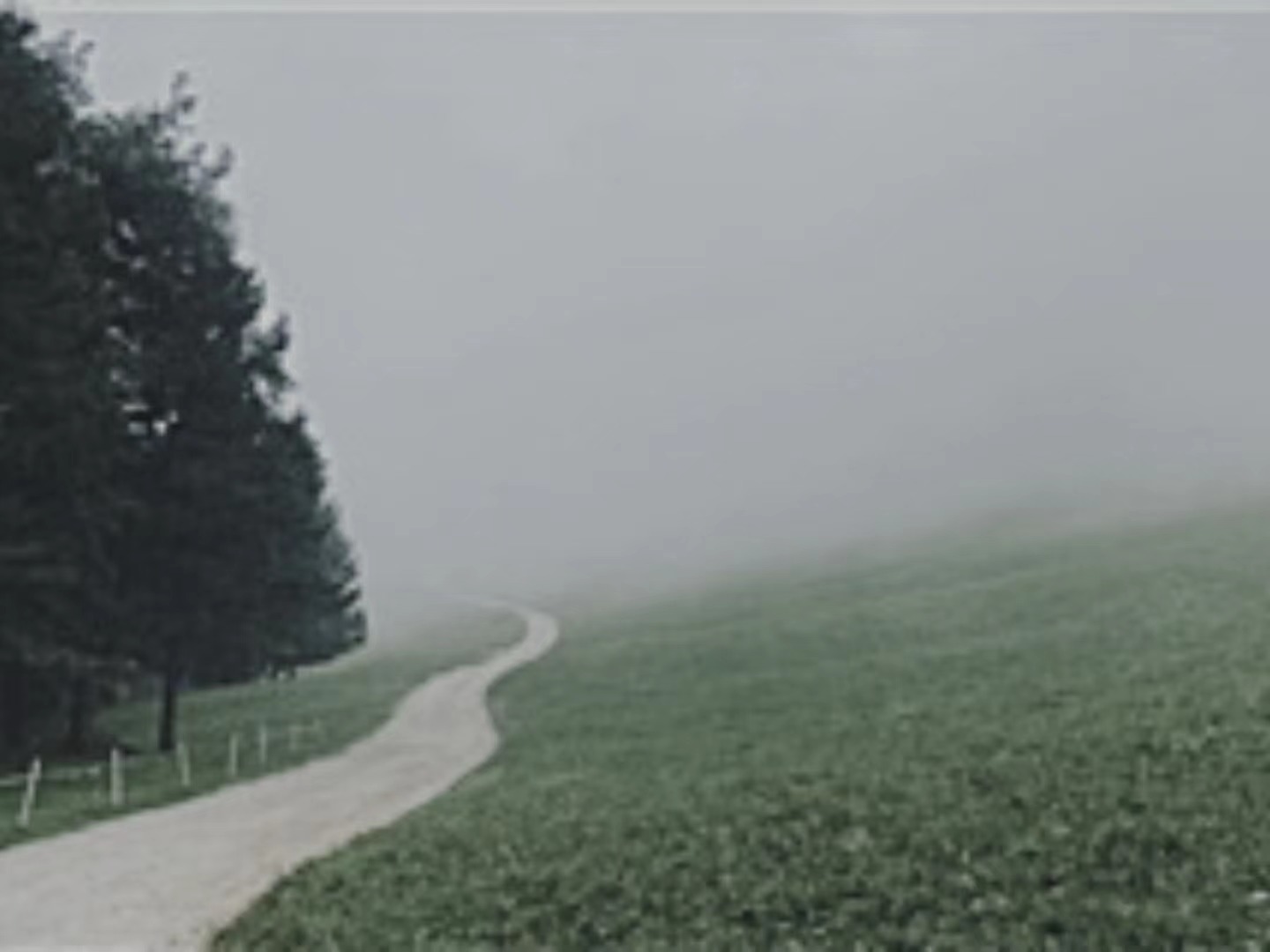 【輯一】南部山區(qū)：有時(shí)在大風(fēng)中，群山似乎在奔跑走在山間公路上/山崖在左，溪水在右/轉(zhuǎn)過(guò)兩座山，山崖到了右邊，溪水來(lái)到左邊[詳細(xì)]
