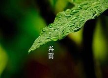 《谷雨》過了清明，就是谷雨。村莊里，田野里，村路上，草木間，人家的院落里，人們的臉上，到處都是春天的閑意思了。[詳細(xì)]