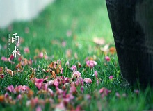 《雨水》轉(zhuǎn)眼就過了正月十五。芳村這地方，過了十五，才算是過了年。老輩子的風(fēng)俗，十五看燈，十六游百病。[詳細(xì)]