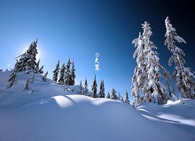 《大寒》這個時節(jié)，天短，日頭地兒就顯得格外金貴。一進(jìn)臘月，過事兒的多了起來。[詳細(xì)]