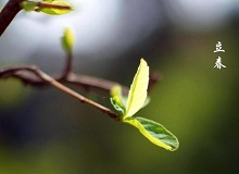 《立春》大年三十這一天，天難得放晴了。村子里到處明晃晃的，陽光映照著雪地，仿佛琉璃世界。[詳細(xì)]