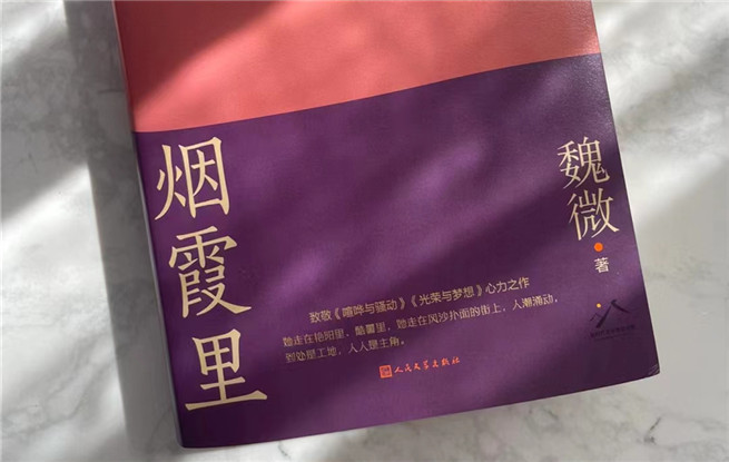 【特約評(píng)論】魏微：抒情為表，史詩(shī)為里