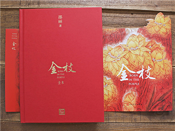 《金枝》：“虛置的父權(quán)”，使父親的角色無比尷尬