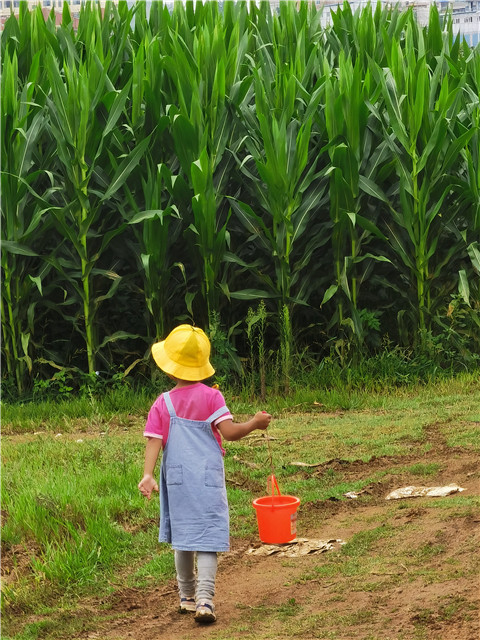孩子們的背影。劉雪韜周末經(jīng)常和愛人一同陪伴孩子去他們喜歡的地方騎車、玩耍。對他們來說，相聚的時光遠比一些熱鬧的應酬重要。