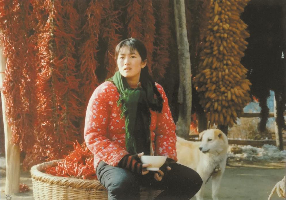 劉恒擔(dān)任編劇的電影《秋菊打官司》曾獲得第49屆威尼斯電影節(jié)金獅獎(jiǎng)、第13屆中國電影金雞獎(jiǎng)最佳故事片獎(jiǎng)等獎(jiǎng)項(xiàng)。