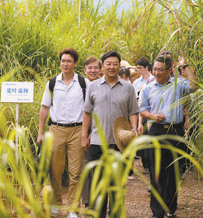 　　圖為電視劇《幸福草》劇照。 　　片方供圖