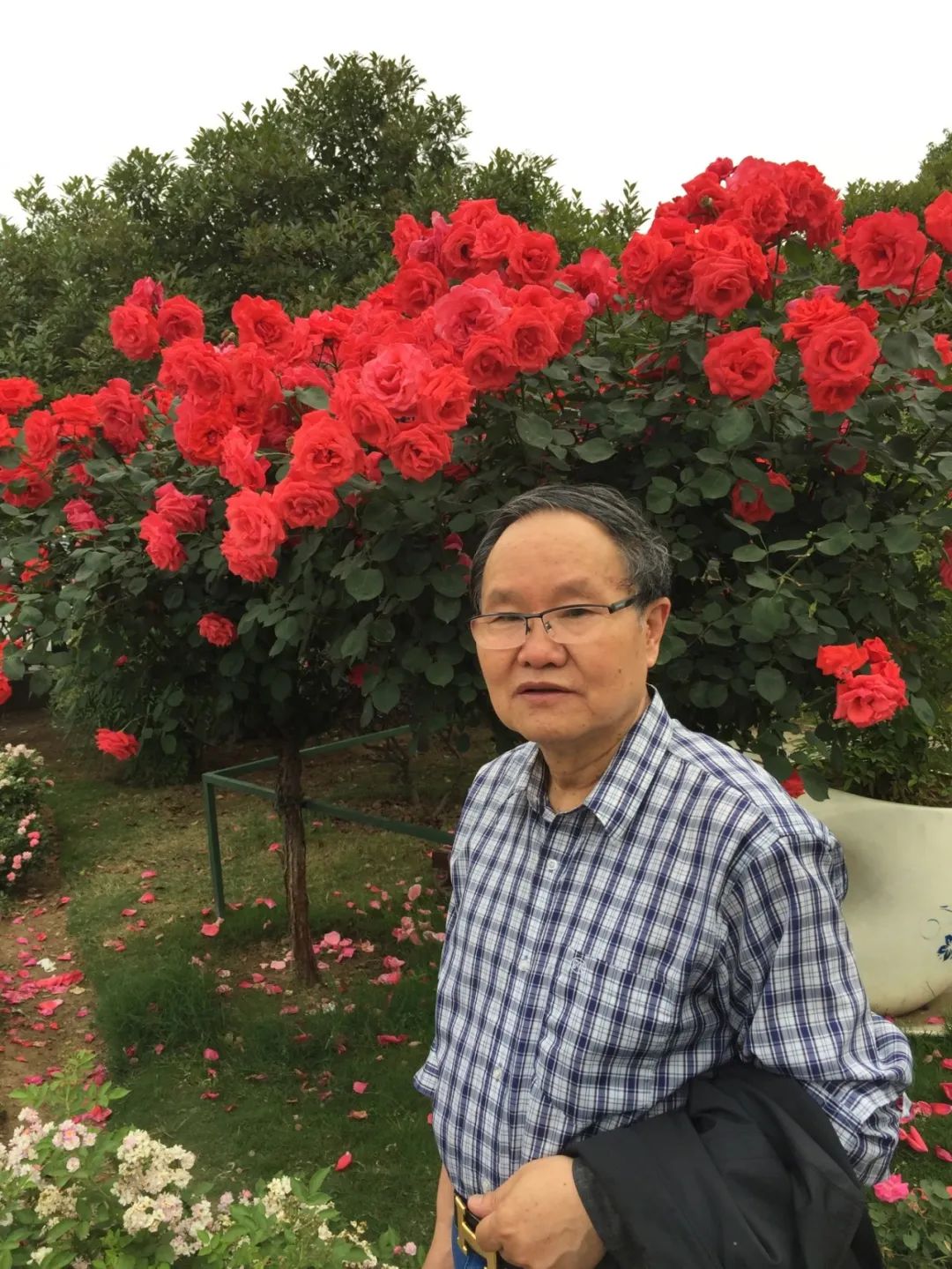 【劉慶邦，1951年生于河南沈丘。著有長篇小說《斷層》《遠(yuǎn)方詩意》《平原上的歌謠》《紅煤》《遍地月光》《黑白男女》《女工繪》《花燈調(diào)》等十四部，中短篇小說集、散文集《走窯漢》《梅妞放羊》《遍地白花》《響器》《黃花繡》《到處有道》等七十余部?！秳c邦短篇小說編年》十二卷。短篇小說《鞋》獲第二屆魯迅文學(xué)獎(jiǎng)。中篇小說《神木》《啞炮》獲第二屆和第四屆老舍文學(xué)獎(jiǎng)。中篇小說《到城里去》和長篇小說《紅煤》分別獲第四屆、第五屆北京市文學(xué)藝術(shù)獎(jiǎng)。長篇小說《遍地月光》獲第八屆茅盾文學(xué)獎(jiǎng)提名。長篇小說《黑白男女》獲首屆吳承恩長篇小說獎(jiǎng)。長篇小說《家長》獲第二屆南丁文學(xué)獎(jiǎng)。長篇散文《陪護(hù)母親日記》獲第二屆孫犁散文獎(jiǎng)。曾獲北京市首屆德藝雙馨獎(jiǎng)，首屆林斤瀾杰出短篇小說作家獎(jiǎng)，第十屆冰心散文獎(jiǎng)。獲《北京文學(xué)》獎(jiǎng)十五次；《十月》文學(xué)獎(jiǎng)七次；《小說月報(bào)》百花獎(jiǎng)八次等。根據(jù)其小說《神木》改編的電影《盲井》獲第53屆柏林電影藝術(shù)節(jié)銀熊獎(jiǎng)。1990年加入中國作家協(xié)會(huì)，為中國煤礦作家協(xié)會(huì)名譽(yù)主席，北京作家協(xié)會(huì)原副主席，一級(jí)作家，北京市第十、第十一、第十二屆政協(xié)委員，中國作家協(xié)會(huì)第五、第六、第七、第八、第九屆全國委員會(huì)委員?！?></p>
<p style=