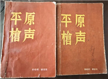 從未遠(yuǎn)去的“平原槍聲”　　合上《平原槍聲》最后一頁，初聽現(xiàn)實中肖張鎮(zhèn)這個地名，心頭不禁一震：莫不是小說中的肖家鎮(zhèn)？[詳細(xì)]