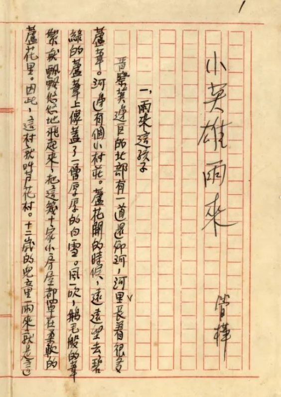 暗夜中的雨來，眼睛閃閃發(fā)亮　　在那場事關中華民族生死存亡的戰(zhàn)爭中，為了保家衛(wèi)國，華北平原涌現出許許多多的小英雄，而這之中，“小英雄雨來”是最為人們所熟知的英雄之一，而我們喜愛的這個“雨來”卻是作者管樺將眾多現實中的抗日小英雄“捏合”創(chuàng)作而成，一經問世便受到全國讀者的熱捧，直到現在。[詳細]