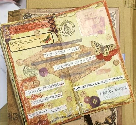 閱讀摘抄手賬，來源：讀者“朝夕昭奚”微博