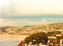 我的散文的生命力來自于田野調查　　蟋蟀叫著，兮兮兮。月影上來了，印在窗戶上，如一朵潔白的窗花。[詳細]