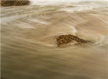 “抵抗遺忘”是對寫作者的最高要求　　對傅菲而言，“元”是周而復始之始，代表初心，“燈”乃光明之源……[詳細]