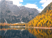 在自然文學和生態(tài)文學之間　　在自然文學領域，我耗費了大量時間和心血，但遠遠談不上“中國的《瓦爾登湖》”……[詳細]