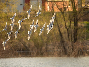 自然與人世的協(xié)奏曲