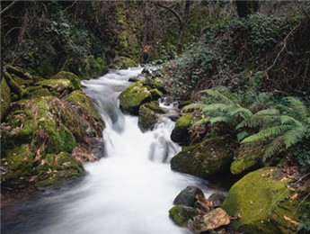 在自然的詩行里，我們都是蹩腳的讀者……