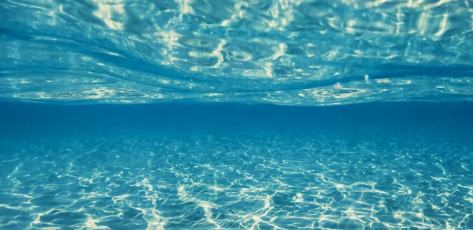 網(wǎng)絡(luò)文藝的魅力在于打破邊界、匯聚力量