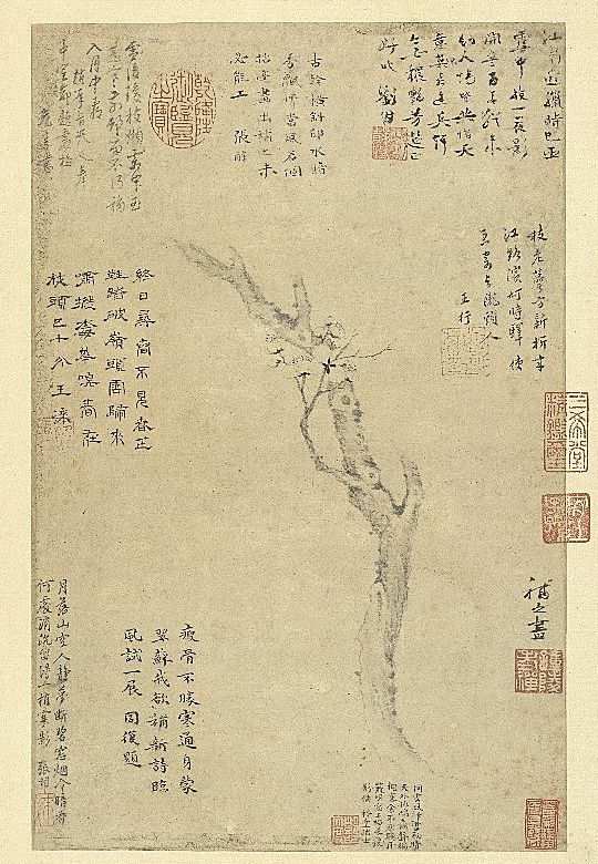 《集古圖繪》冊(cè) 宋 揚(yáng)無咎梅花 臺(tái)北故宮博物院藏